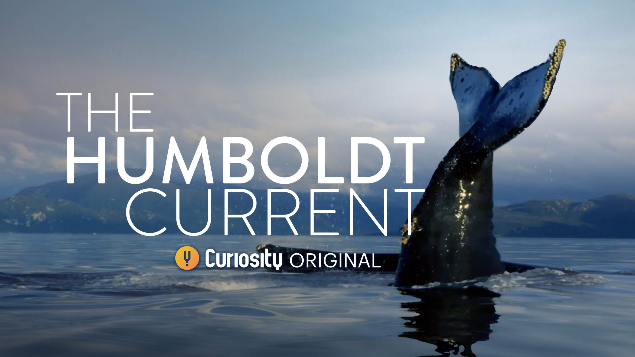 humboldt current curiosity stream