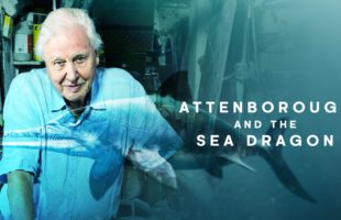 attenborough and the sea dragon