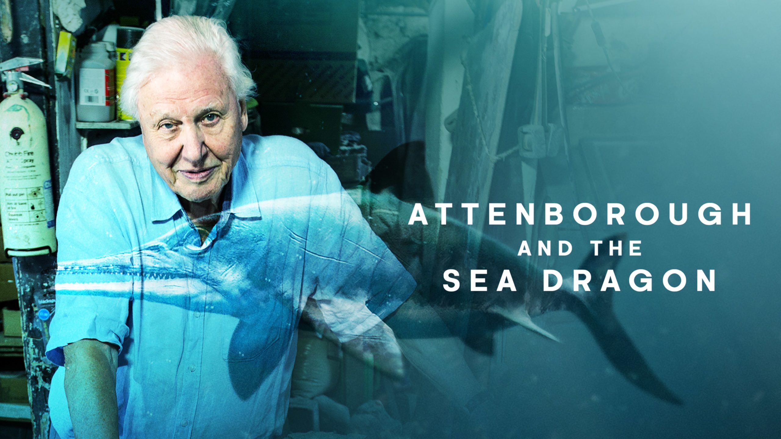 attenborough and the sea dragon