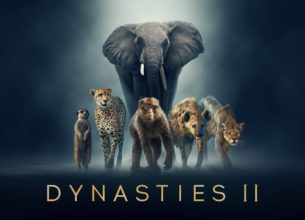 Dynasties II bbc