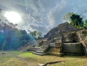 fall of the maya king