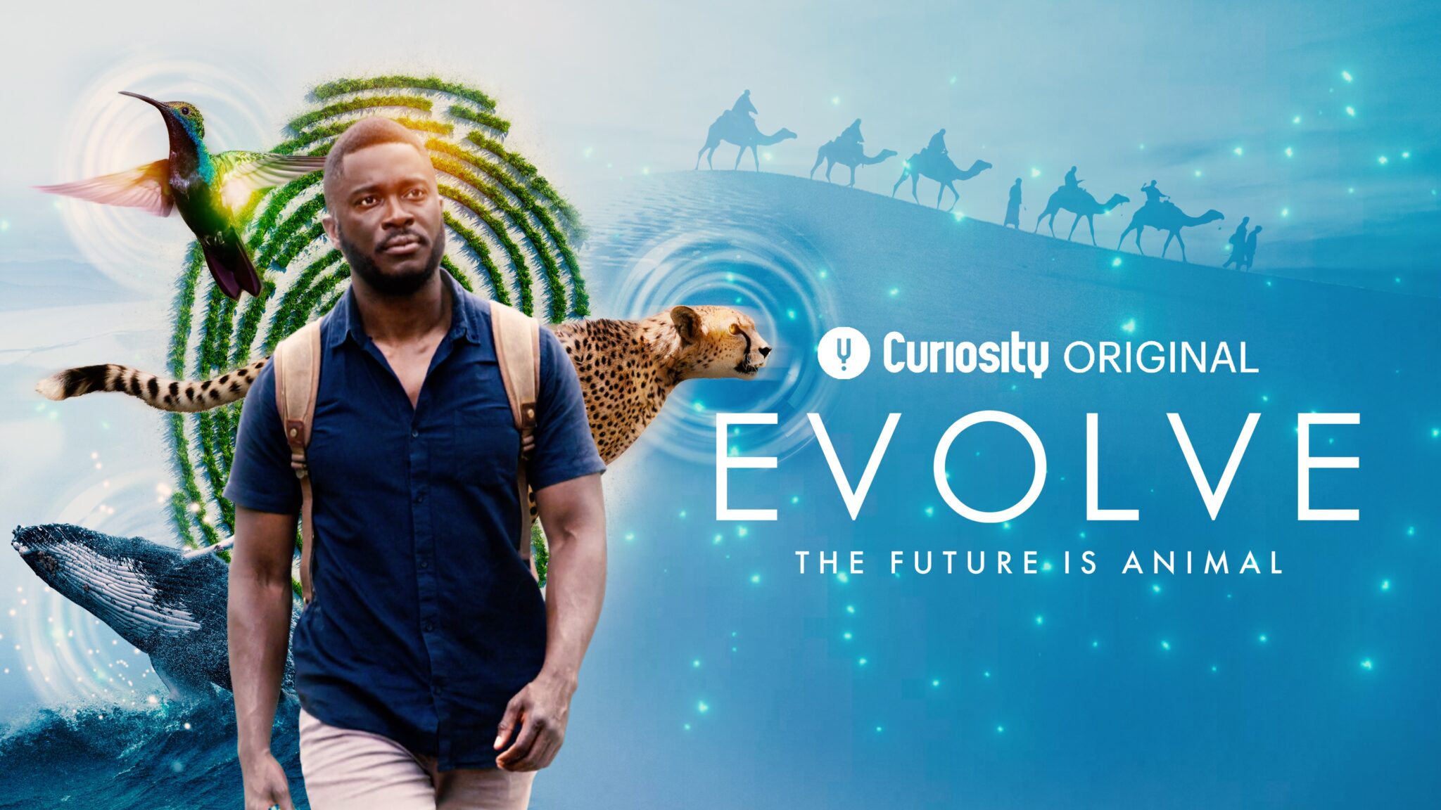 Curiosity launches linear channel & SVOD service on Telkomsel Indonesia ...
